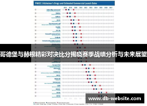 哥德堡与赫根精彩对决比分揭晓赛季战绩分析与未来展望